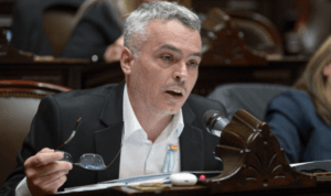 diputado